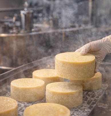 Peynir Üretiminde Kalite Algısı